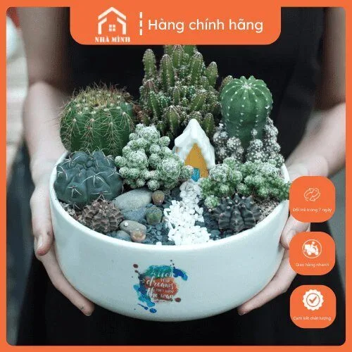 chau-xuong-rong-mix