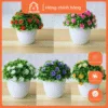 chau-hoa-mini