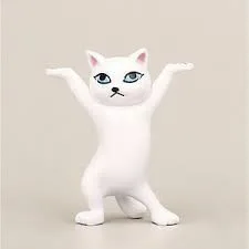 Mèo khiêng hòm 5